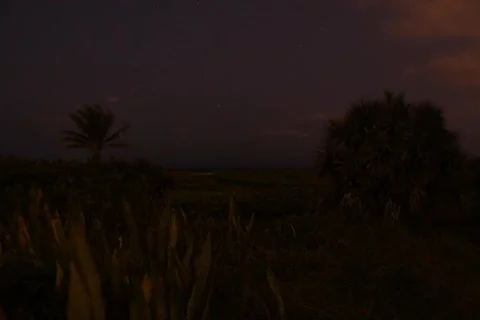 Night: TimeLapse (SD 720x480) Stock Footage 366234