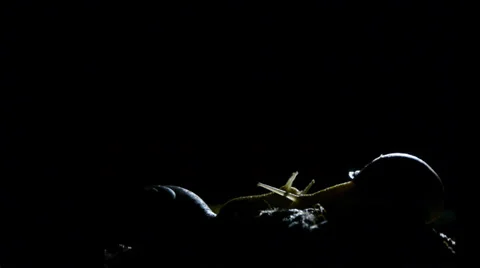 Night timelapse with snail Stock Footage 36664712