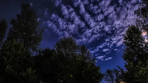 Night timelapse of stars and clouds in a forest. Stock Footage 61787953
