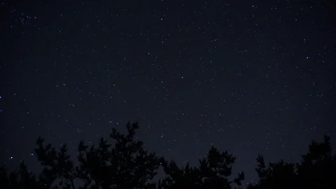Night timelapse with trees against starry sky Stock Footage 91770522