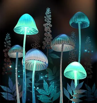 Night toadstools Stock Illustration