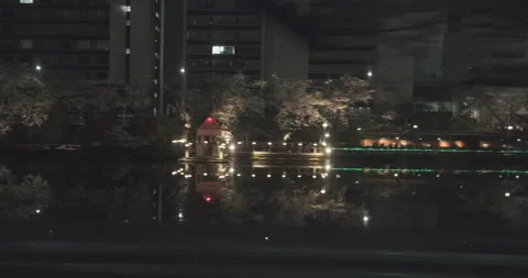 Night Tokyo from train window. River, buildings and neon lights. TOKYO / JAPAN - Vidéo 136288121