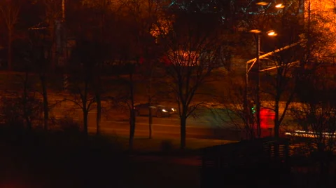 Night traffic behind the trees Stock Footage 54339382