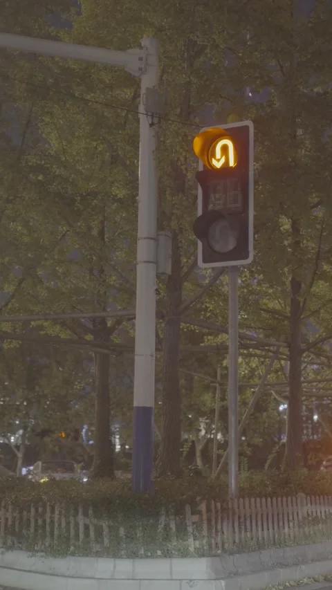 Night Traffic Light with Countdown Timer in Urban Setting Stock Footage 326594568