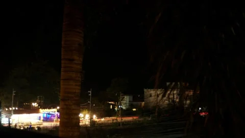 Night traffic time lapse with palm tree in foreground 库存影片 325024693