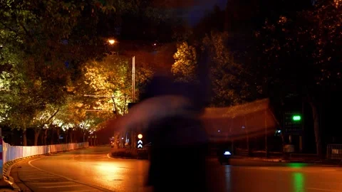 Night traffic on a tree lined road in Wuhan city with street lights Stock Footage 342279020