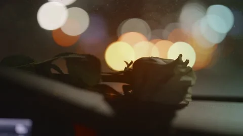 Night traffic view changes to rose lying at the car front window, street lights Stock Footage 236449988