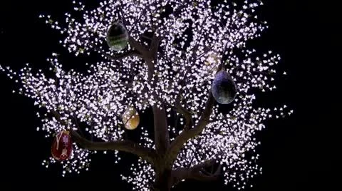 Night tree Stock Footage 10893708