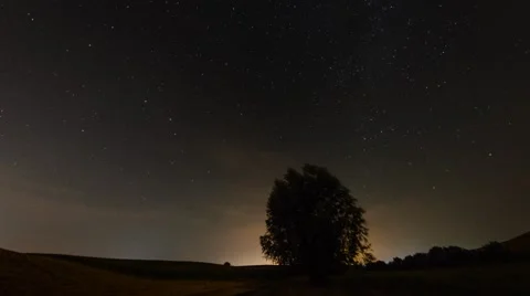 The Night Tree Stock Footage 57690407