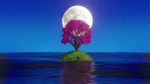 Night Tree Moonlight Video stock 274388665