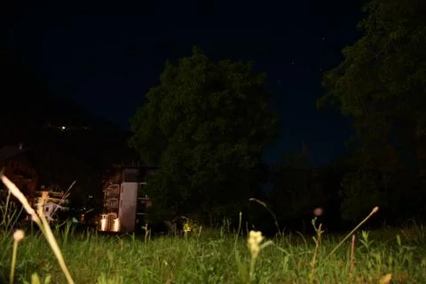 Night tree 库存照片