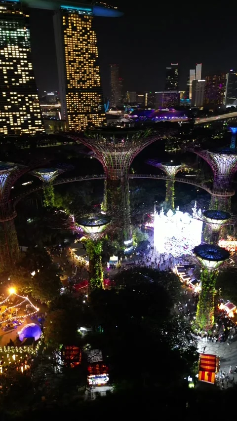 Night tree singapore 스톡 동영상 232691773