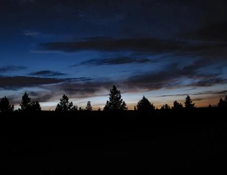Night Treeline Stock Photos