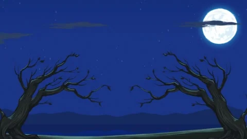 Night trees moon lake Stock Footage 212906521