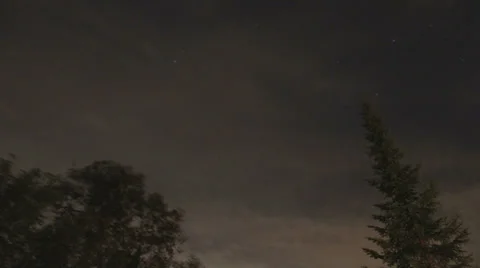 Night trees Time Lapse Stock Footage 32236781