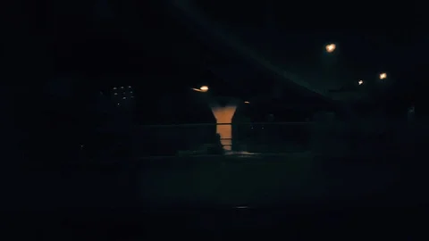 Night trip with passenger train Stock Footage 95700683