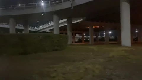 Night trip under the bridge by car Stock Footage 224718767