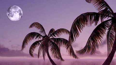 Night Tropical View Stock Footage 93004955