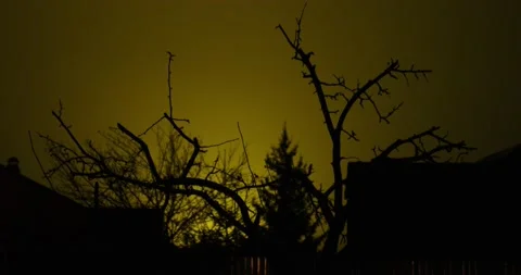 Night view 3 Stock Footage 131142085