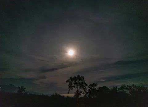 Night view in bali 스톡 사진