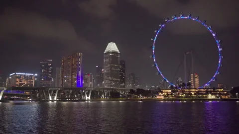 Night view of Benjamin Sheares Bridge and the Singapore Flyer Stock Footage 312507209