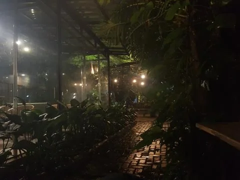 Night view on a cafe with some trees Stock Photos