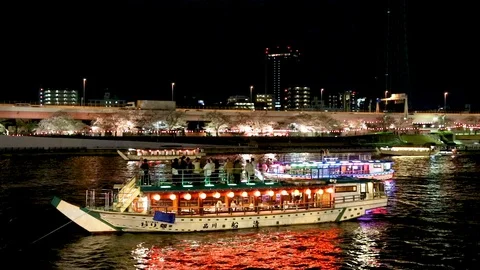Night View, Cherry blossom and Yakatabune boat, Tokyo, Japan Vidéo 100867893
