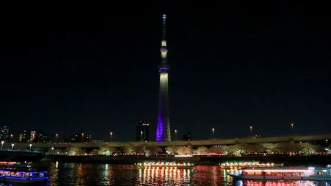 Night View, Cherry blossom and Yakatabune boat, Tokyo, Japan Stock Footage 100867962