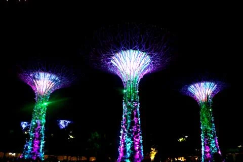 A night view of colorful super tree at garden by the bay Stock Photos