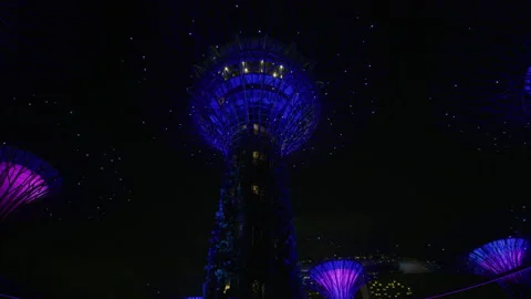 Night view of the Gardens by the Bay's Supertrees Stock Footage 218472307