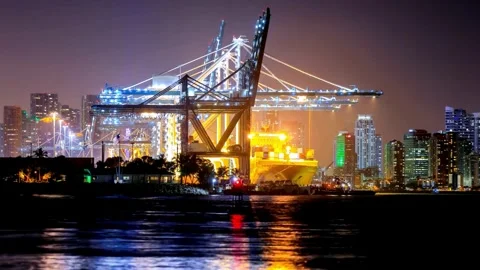 Night View of Illuminated Cargo Crane and City Skyline at Port Stock Footage 310650434