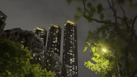 Night View of Illuminated Skyscraper Through Blurred Green Leaves Stock-Footage 335772687