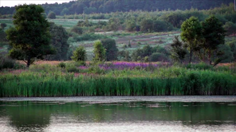 Night view of the lake Stock Footage 37705599