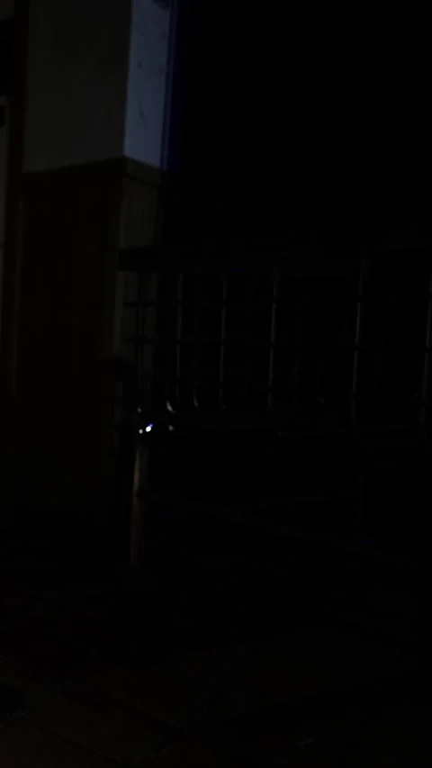 Night view of a park scene with a structure and partial light source Stock Footage 342449187
