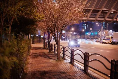 The night view Foto stock