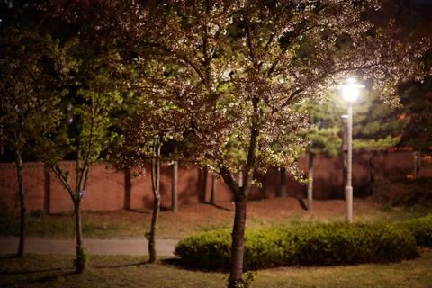 The night view Stock-Fotos