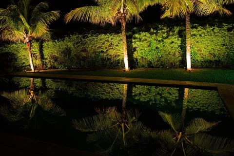 Night view of reflection of coconut trees in swimming pool Stock Photos