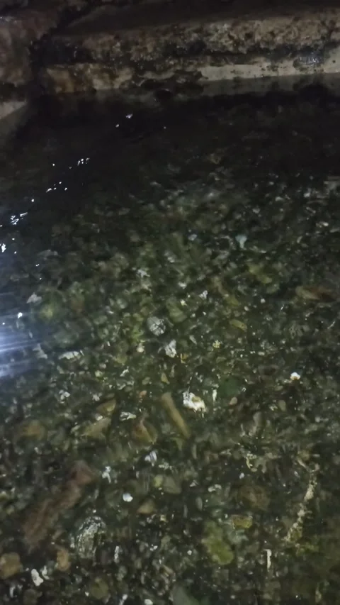 Night view of a riverbed with mossy stones under water Stockbeeldmateriaal 340900822