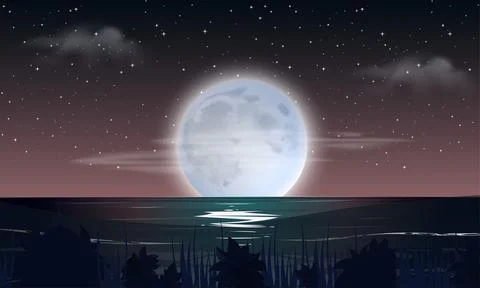 Night view scene illustration Stock Illustration