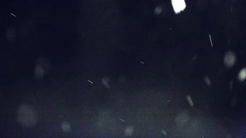 Night View of Snowfall in Blizzard, New England Snow Storm, 4k Time Lapse Bokkah Stock Footage 89782145