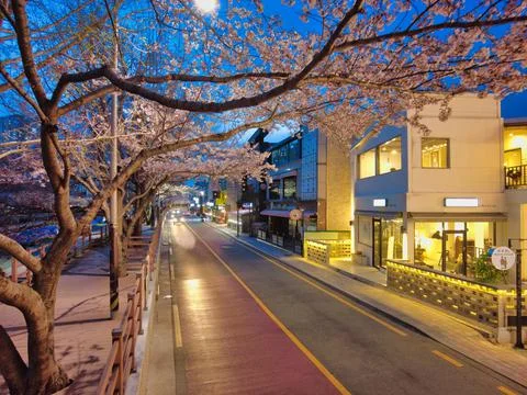 Night view of spring oncheoncheon stream, Busan, South Korea, Asia. Stock Photos
