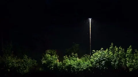 A night view of a strong summer storm with wind and lightning Stock Footage 112615997