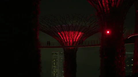 Night view of the Supertrees and the Ocbc Skyway Stock Footage 218561391
