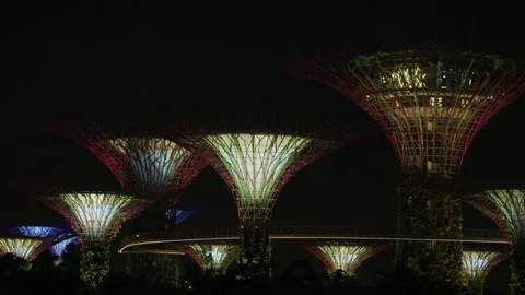 Night view of the Supertrees Stock Footage 218470518