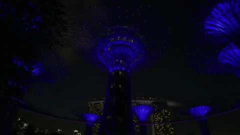Night view of the Supertrees Stock Footage 218474504
