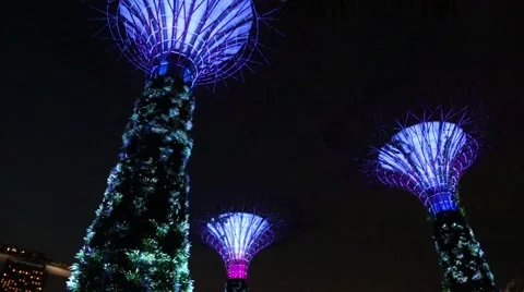 Night view of The Supertrees at Gardens by the Bay, Singapore Stock Footage 49213454