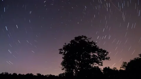 Night view of a tree with star trails moovin around the polar star Stock Footage 160334738