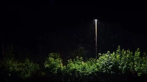 A night view of trees blown by the wind during a summer storm 库存影片 112616846