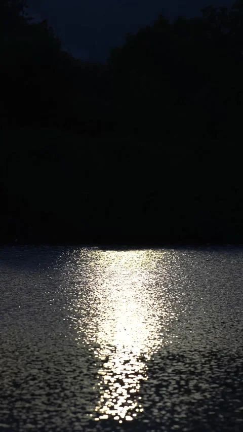 Night view of water surface with moonlight reflection. Stock Footage 264348213
