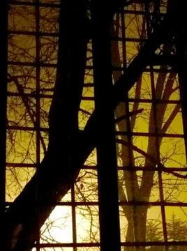 Night view from a window with a lattice Stock Photos